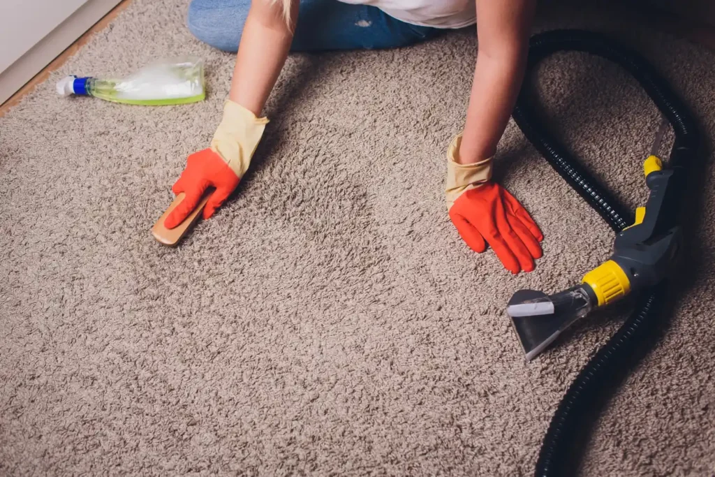 Carpet and Upholstery Cleaning Services in Mississauga